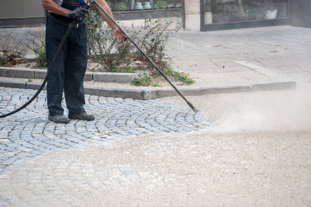 Best Warehouse Cleaning  in Ivanhoe, TX