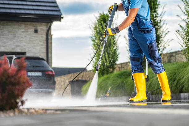 Best Graffiti Removal  in Ivanhoe, TX